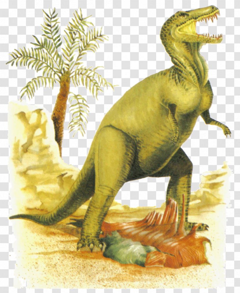 Tyrannosaurus Dinosaur Identifier Dinosaurier.: Das Neue Kompakte Bestimmungsbuch. Identifying Dinosaurs: The New Compact Study Guide And Velociraptor - Bookselling - T Rex Transparent PNG