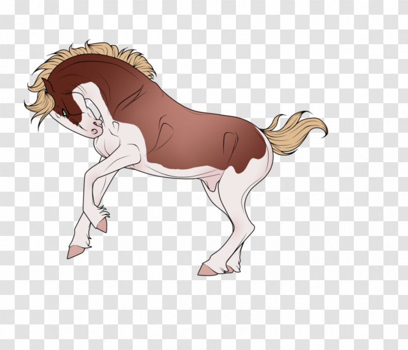 Pony Mustang Cat Pack Animal Mammal - Liverpool Fc Transparent PNG