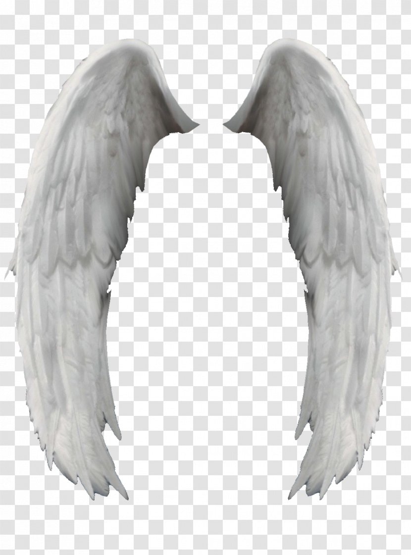 Clip Art - Neck - Wings Transparent PNG