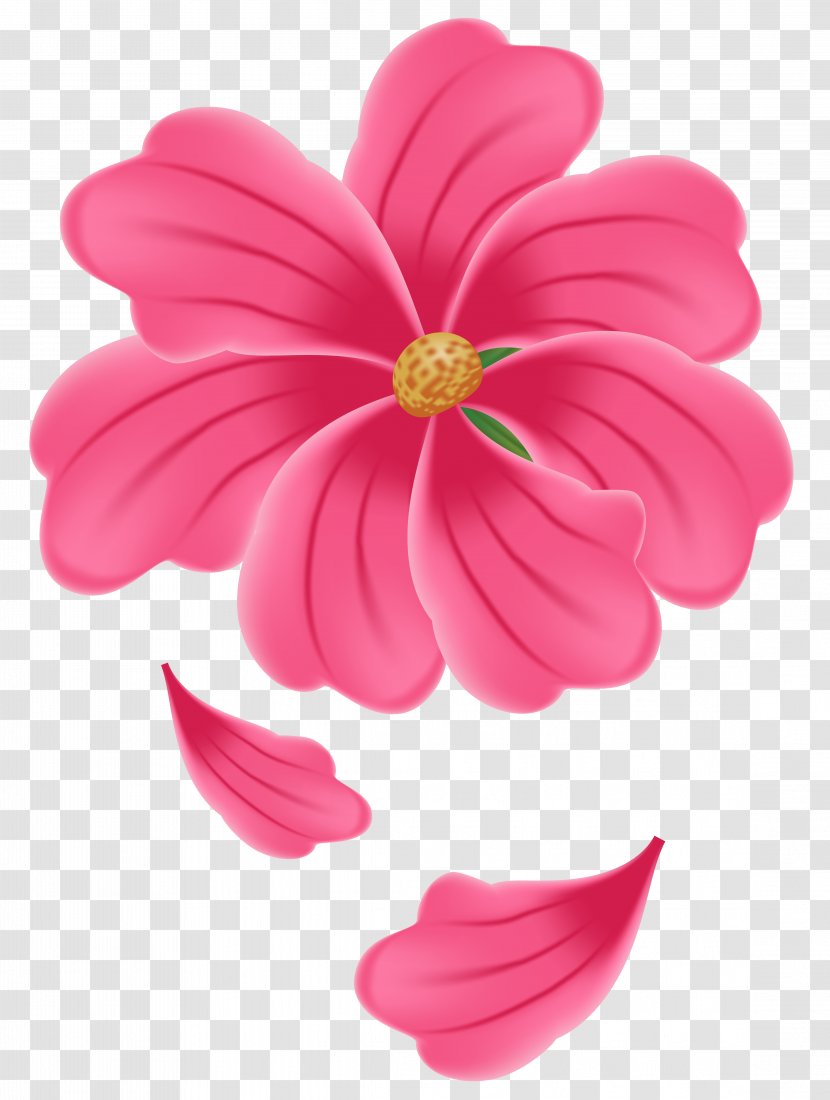 Dahlia Petal Herbaceous Plant - Flower Pink Clipart Image Transparent PNG
