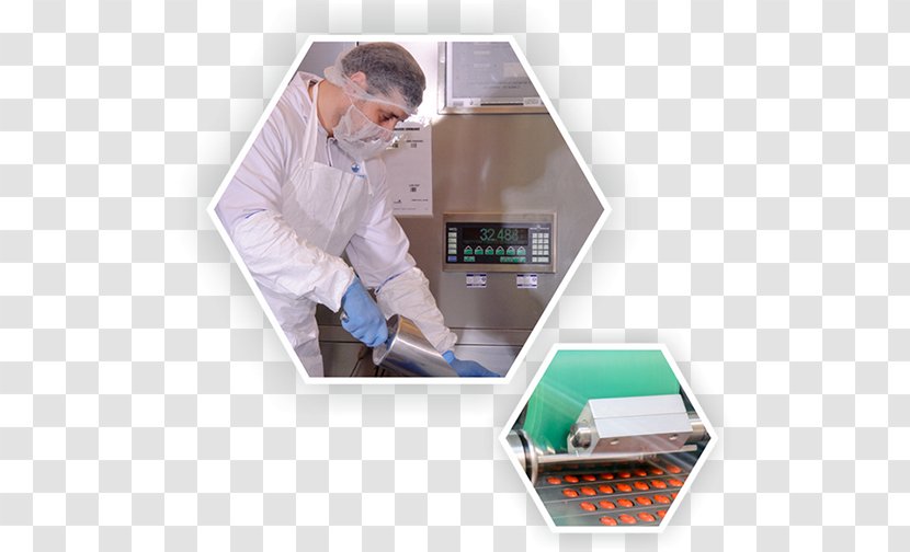 Pharmaceutical Industry Biomedical Research Manufacturing - West Services Transparent PNG