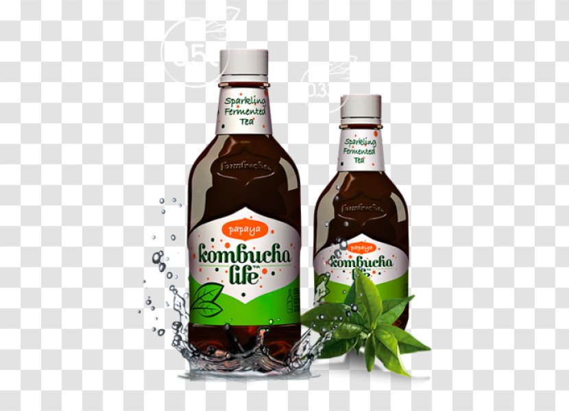 Kombucha Organic Food Juice Coconut Water Tea - Ginger Transparent PNG