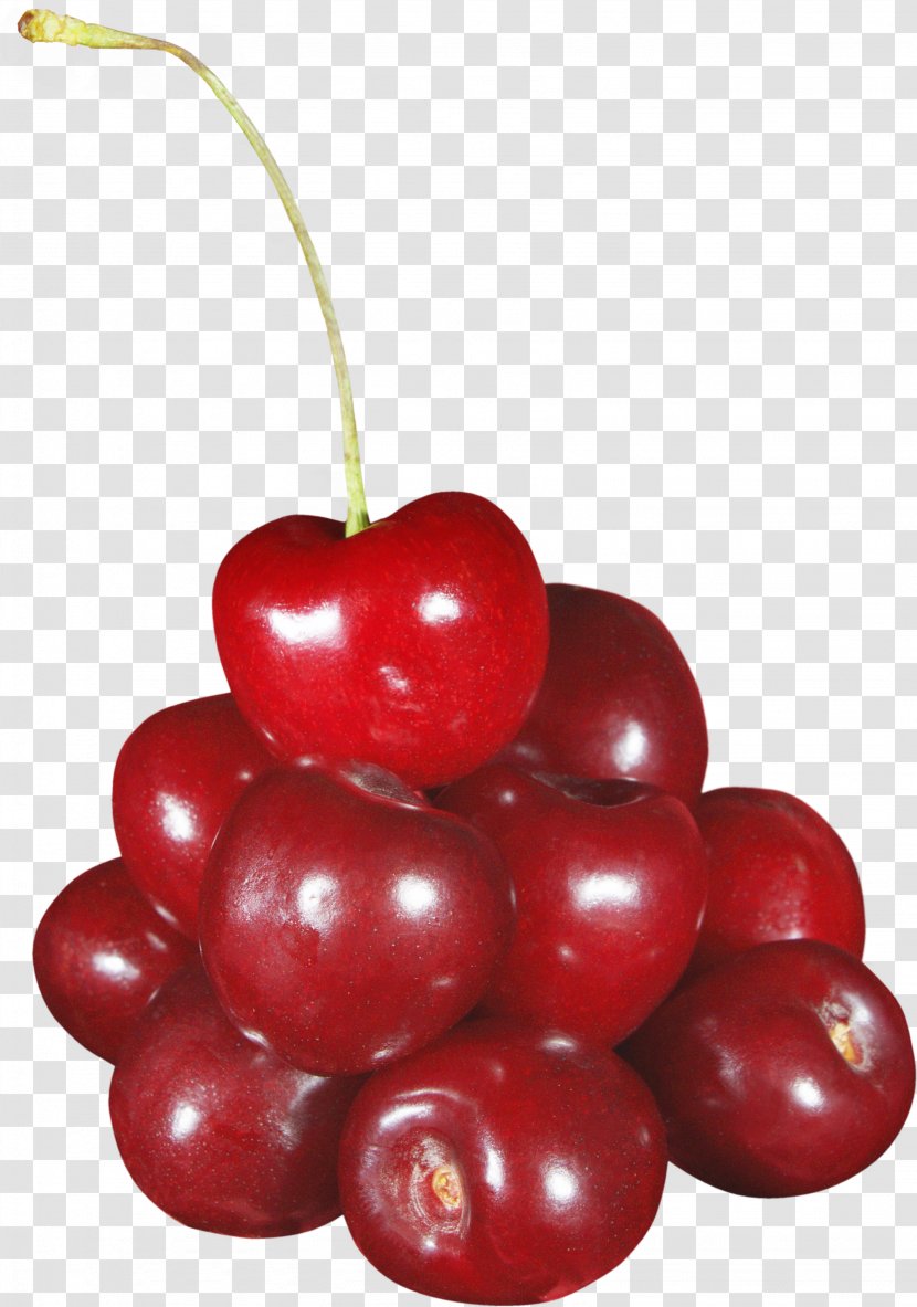 Cherry Fruit - Lossless Compression - Image Transparent PNG