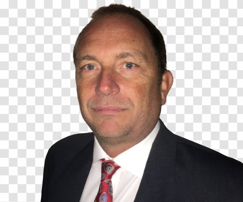 Warehouse Management System Consultant Supply Chain Board Of Directors - Forehead - Niclas Castello Transparent PNG