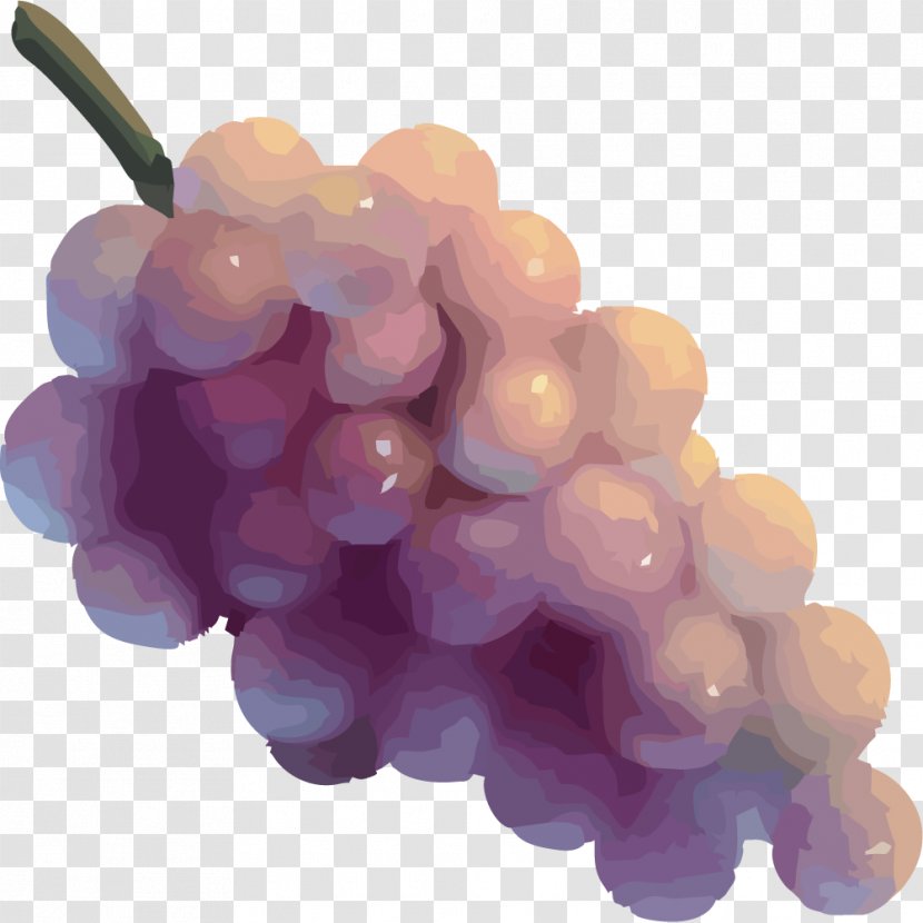 Grape Seed Extract Seedless Fruit - Painted A Bunch Of Grapes Transparent PNG