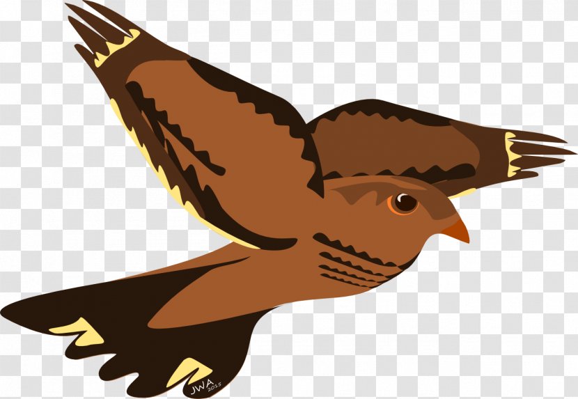 Hawk Bird Eagle Reptile Falcon - August - Nest Transparent PNG