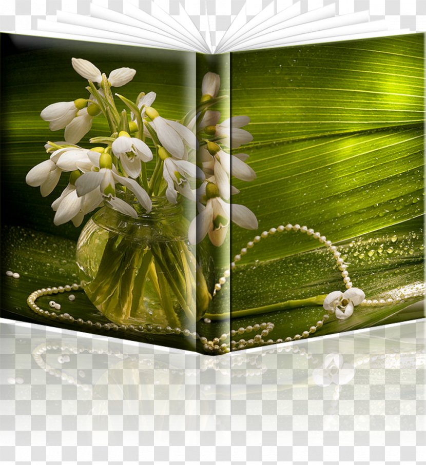 1 May Labour Day Night Week - Flower Arranging - Alegria Transparent PNG