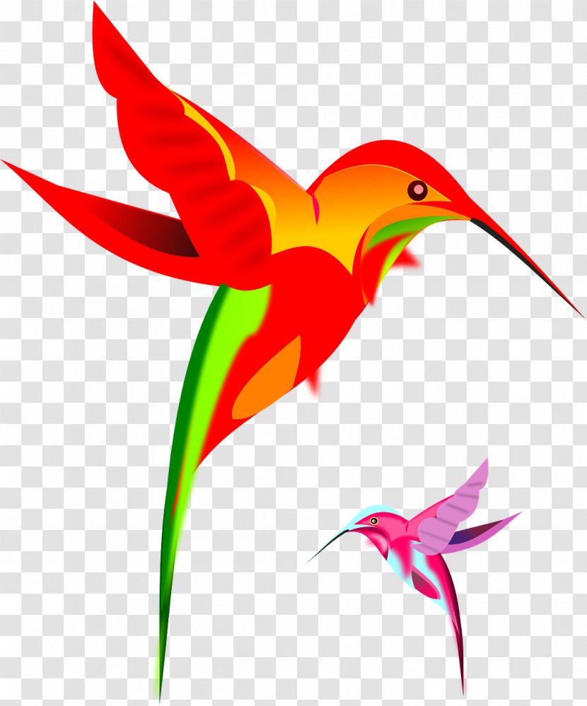 Hummingbird Clip Art - Fly Transparent PNG