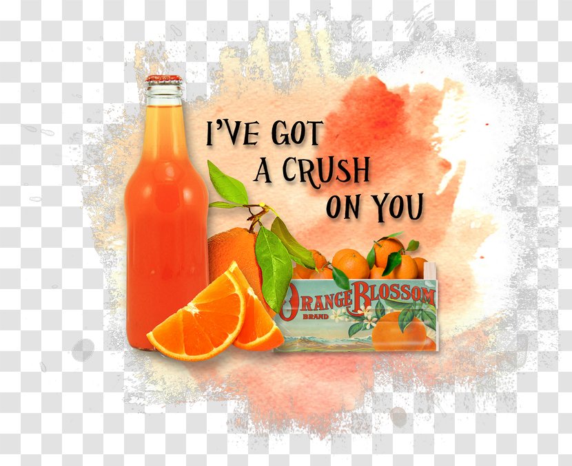 Orange Drink Juice Soft Diet Food - Beverages Transparent PNG