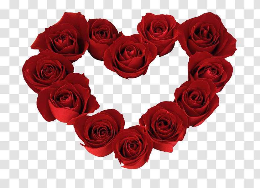 Happy Valentine's Day - Rose Order - Bouquet Camellia Transparent PNG