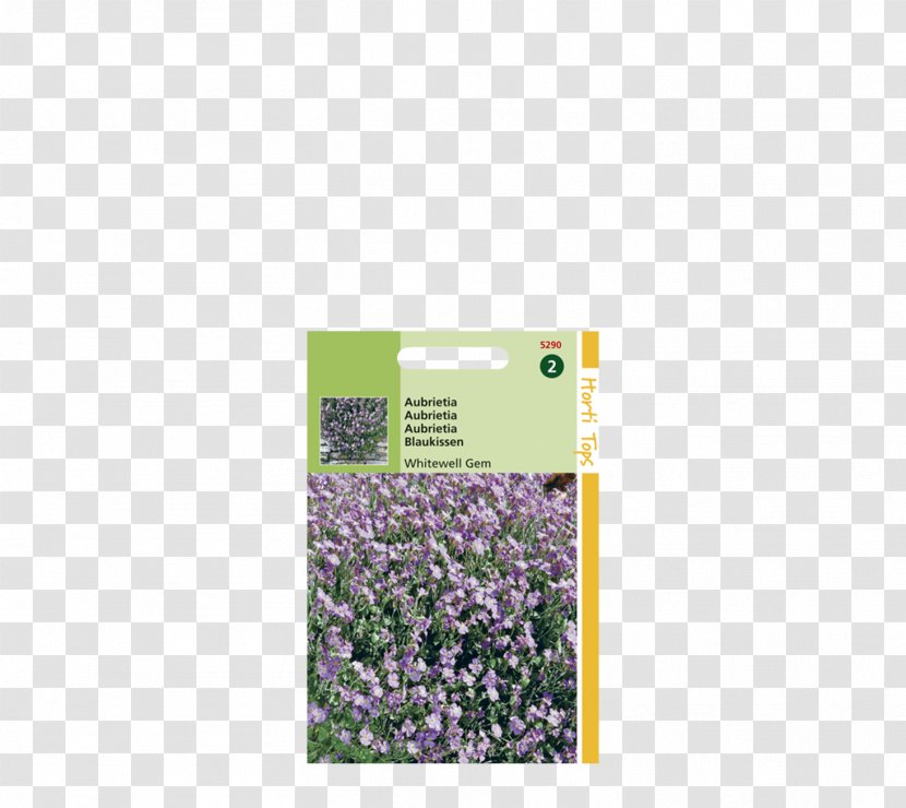 Lavender Aubrieta Violet Gemstone - Purple Transparent PNG