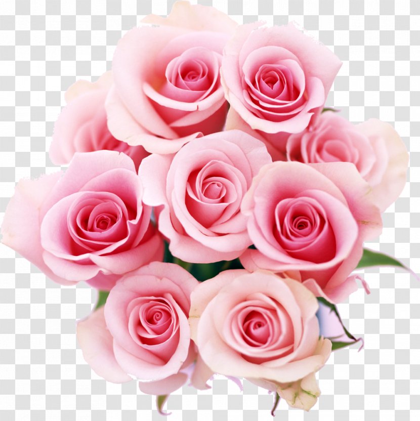 Rose Flower Color Pink - Cartoon - Heart Transparent PNG