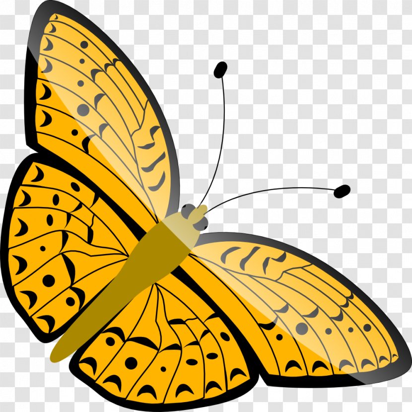 Butterfly Clip Art - Pieridae - Buterfly Transparent PNG