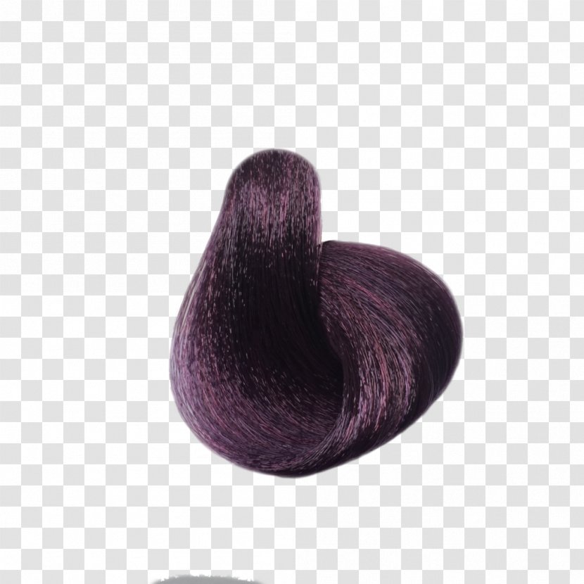 Purple Wool - Chestnut Transparent PNG
