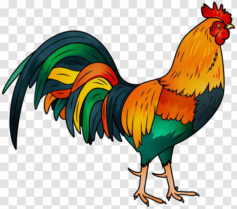 Rooster Chicken Adhan Pet Animal - Bird - Comb Transparent PNG