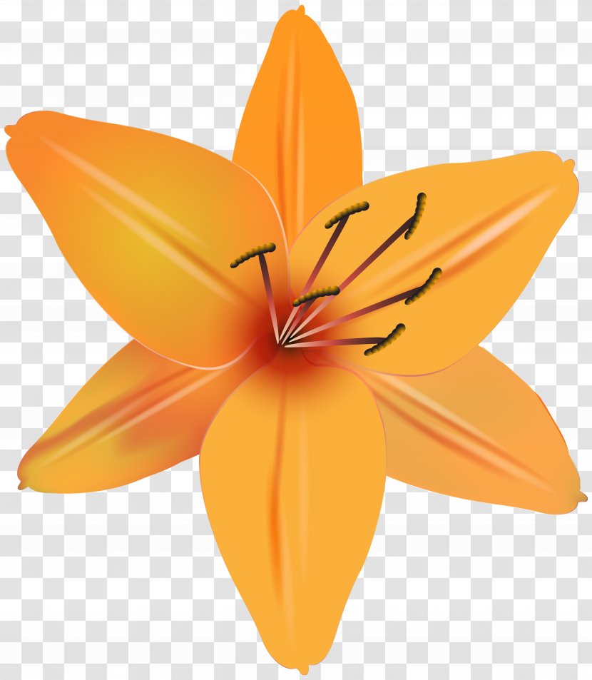 Image File Formats Lossless Compression - Plant - Orange Flower Clip Art Transparent PNG