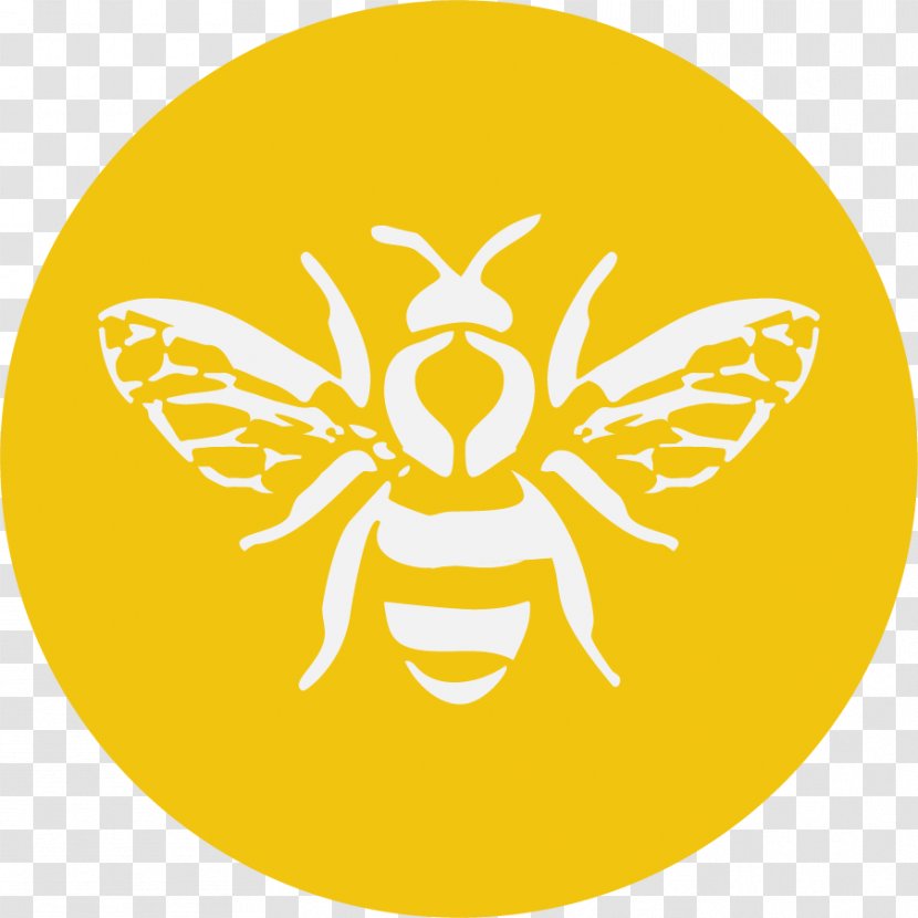 Bee Graphic Design - Drawing - Bees Transparent PNG