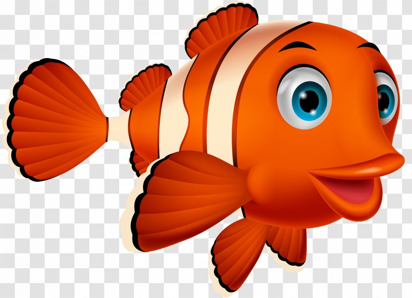 Vector Graphics Clip Art Illustration Stock Photography Image - Organism - Clownfish Transparent PNG