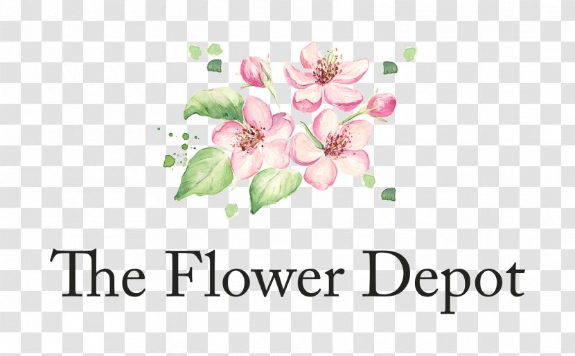 Floral Design Flower Stock Illustration Blossom - Drawing Transparent PNG