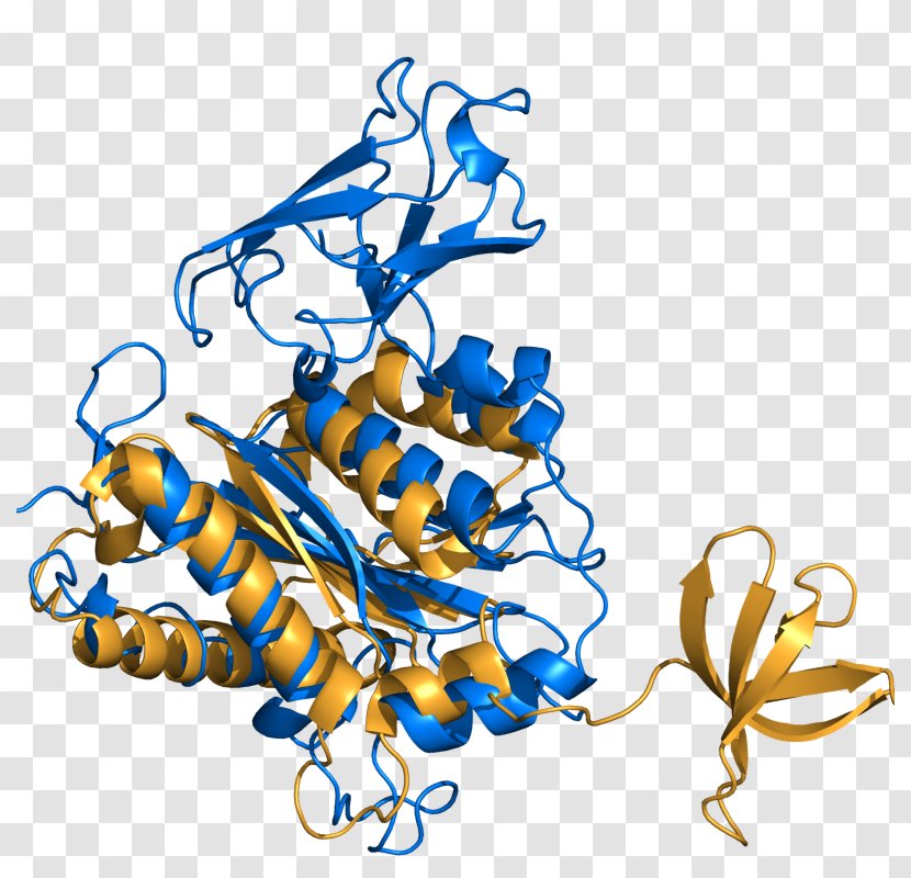 PyMOL Clip Art Protein Flower Illustration - Implementation - Plant Transparent PNG