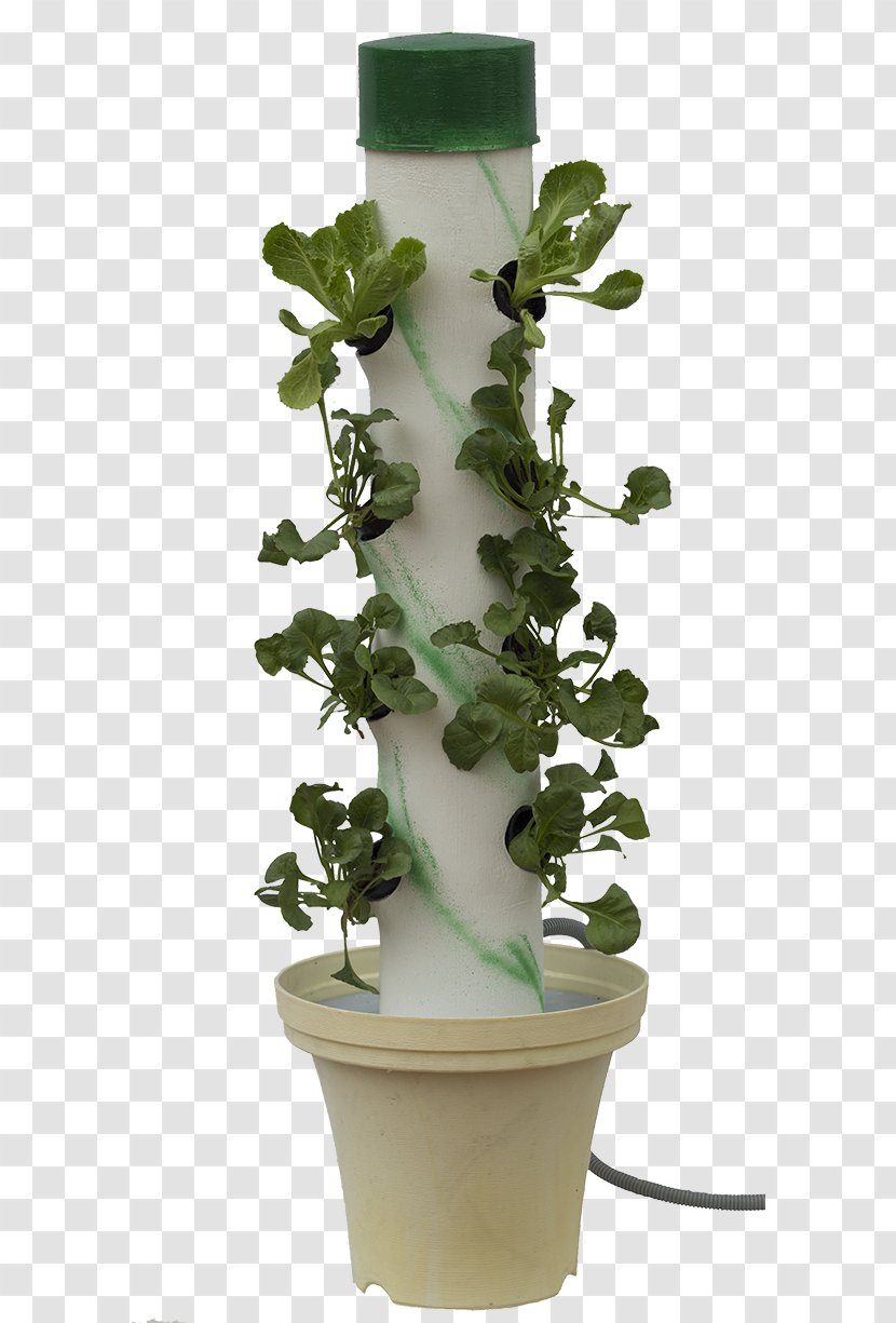 Houseplant Soil Flowerpot Food Plants - Water - Indian Cooking Pots Transparent PNG