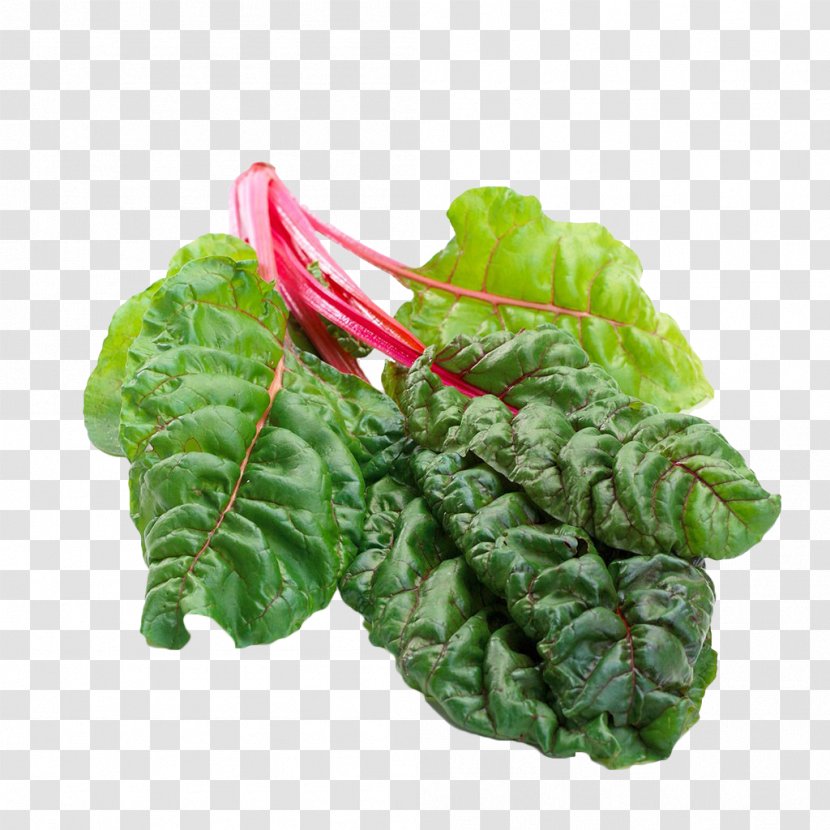 Chard Romaine Lettuce Beetroot Leaf - Ingredient - Green Beet Leaves Transparent PNG