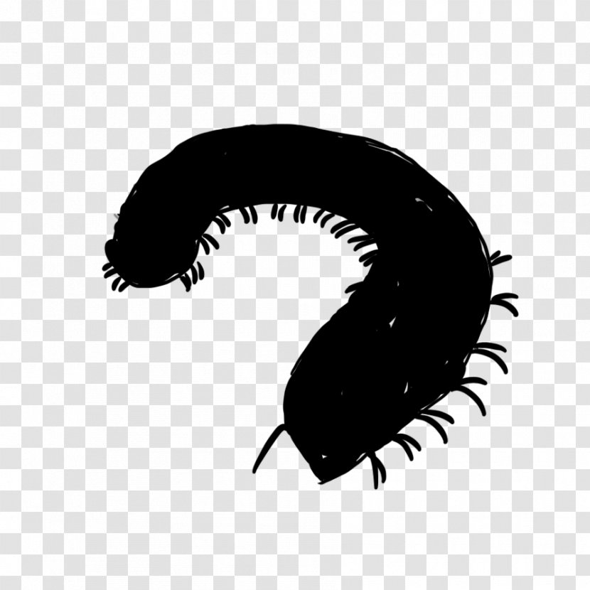 Insect Font Eyelash Black M - Invertebrate - Centipede Transparent PNG