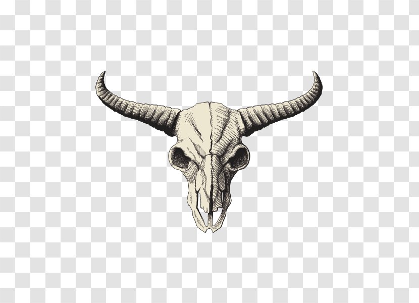 Skull American Bison Drawing Clip Art - Horn Transparent PNG