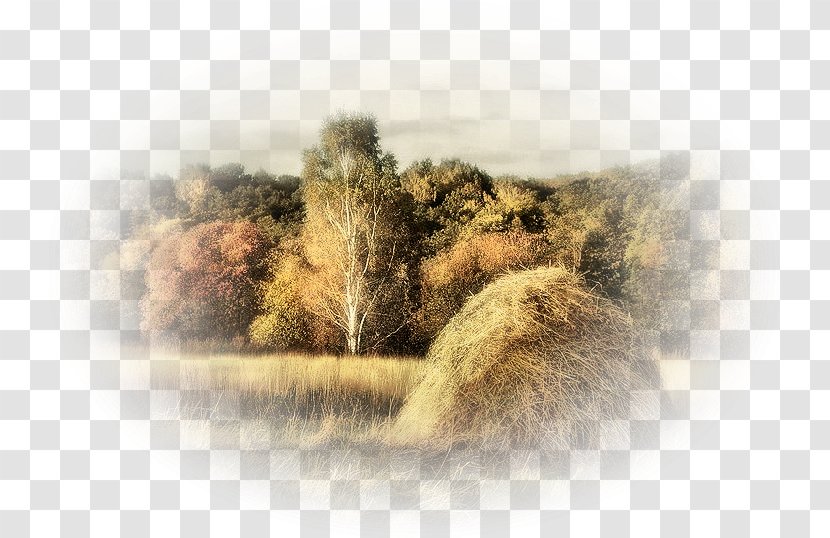 Landscape Painting Nature Clip Art - Heart - Frame Transparent PNG