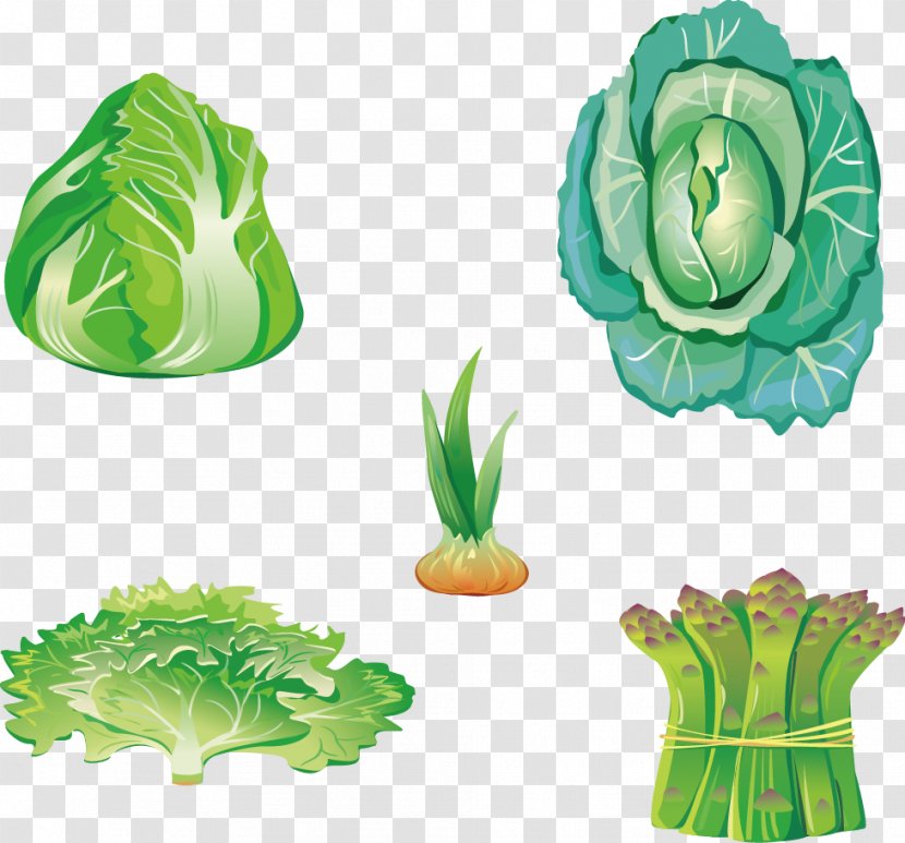Leaf Vegetable Food - Five Vegetables Transparent PNG