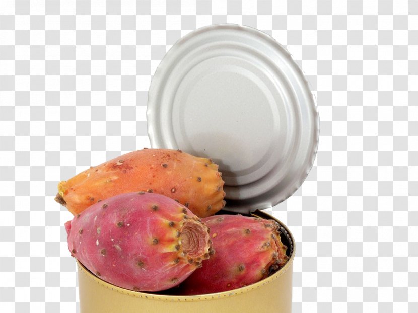 Fruit Pot Cactaceae Download - Recipe - Cactus Close-up Transparent PNG