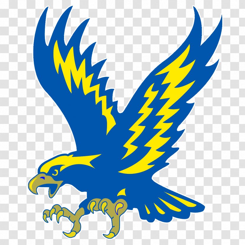 Manchester Metropolitan University Minnesota Philadelphia Eagles Atlanta Falcons Lincoln Colonials - Eagle - American Transparent PNG