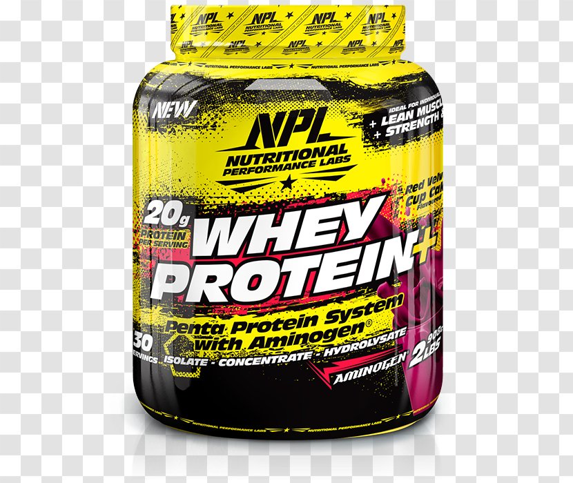 Dietary Supplement National Premier Leagues Whey Protein Isolate Bodybuilding - Levocarnitine - Creatine Transparent PNG