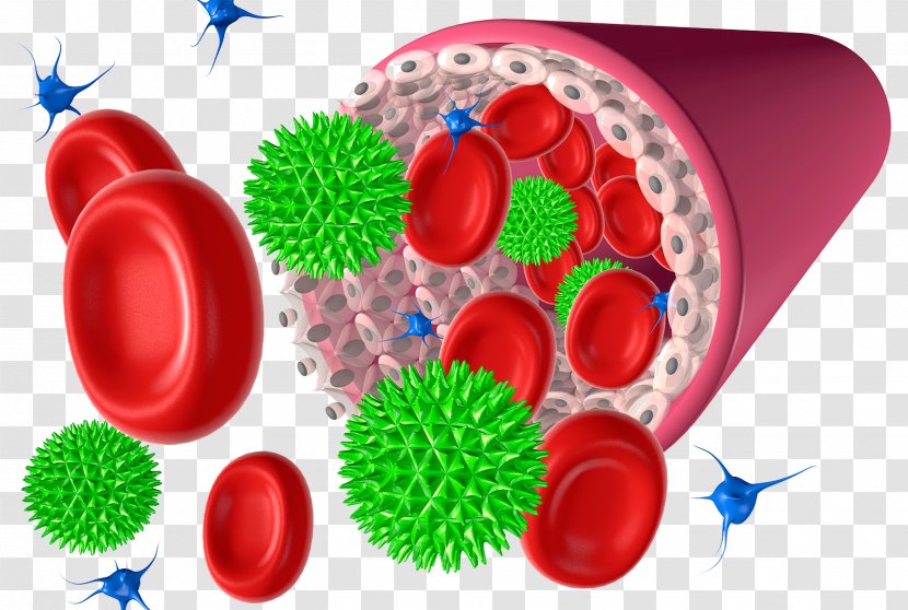 Red Blood Cell Platelet Illustration - Silhouette - Pathogens Transparent PNG