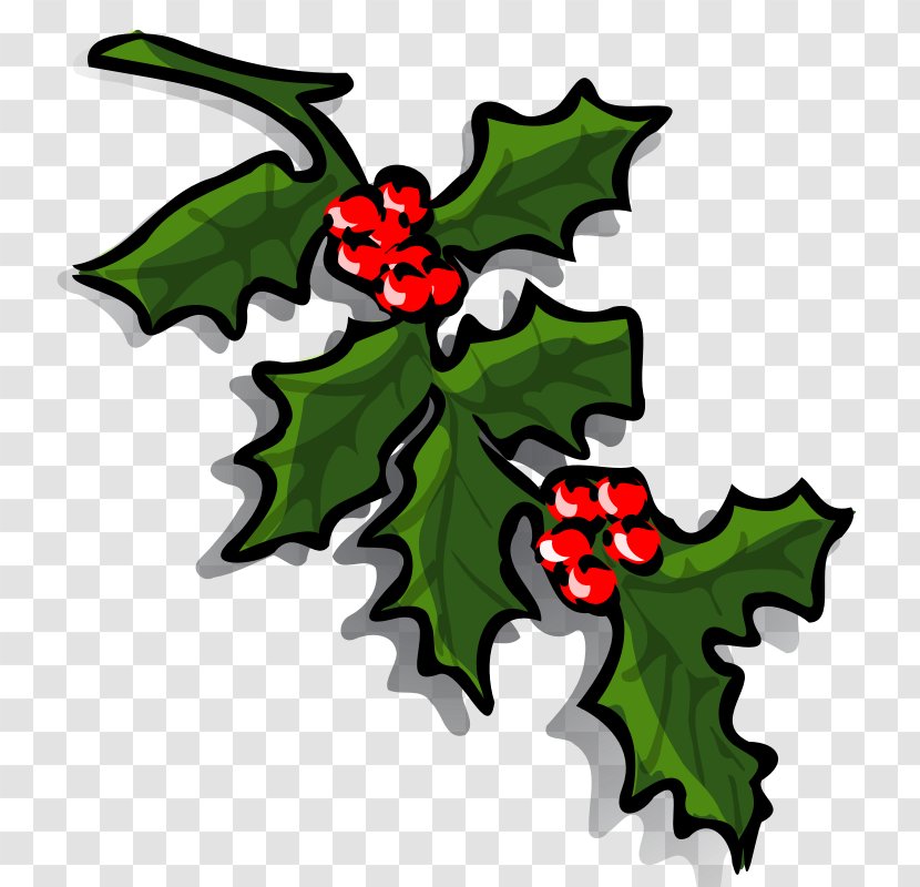Common Holly Borders And Frames Christmas Clip Art - Flowering Plant - Chritmas Images Transparent PNG