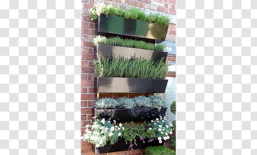 Gardening Green Wall Flowerpot - Flower - Garden Transparent PNG