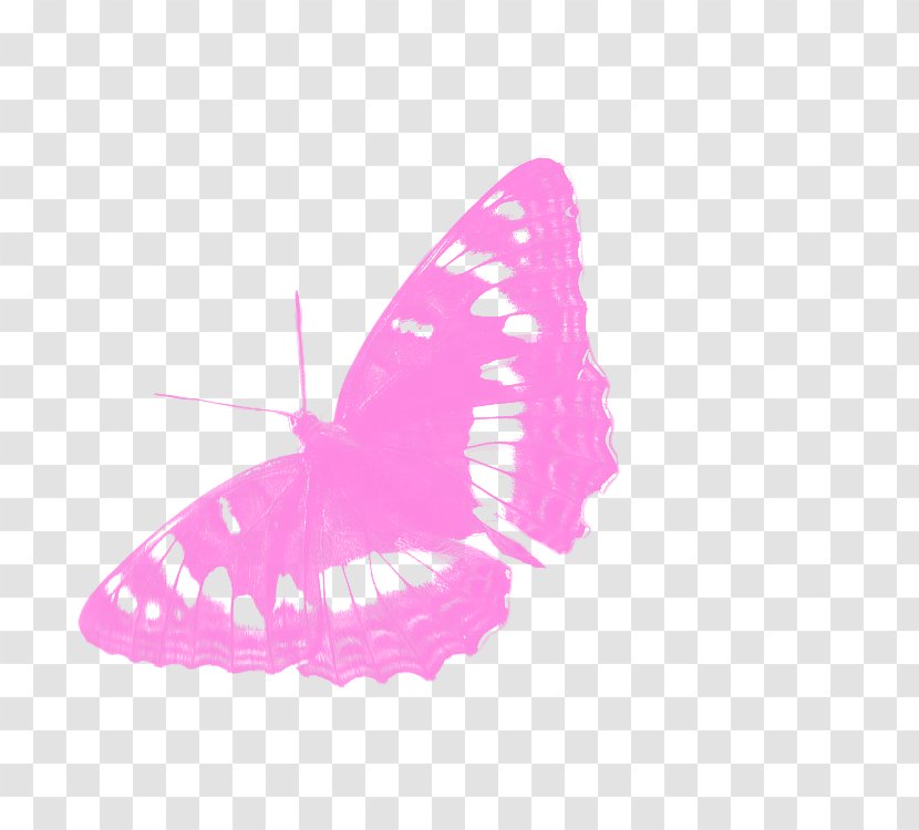 Butterfly Insect Poplar Admiral Villa Susanna Oy - Moths And Butterflies - Purple Transparent PNG