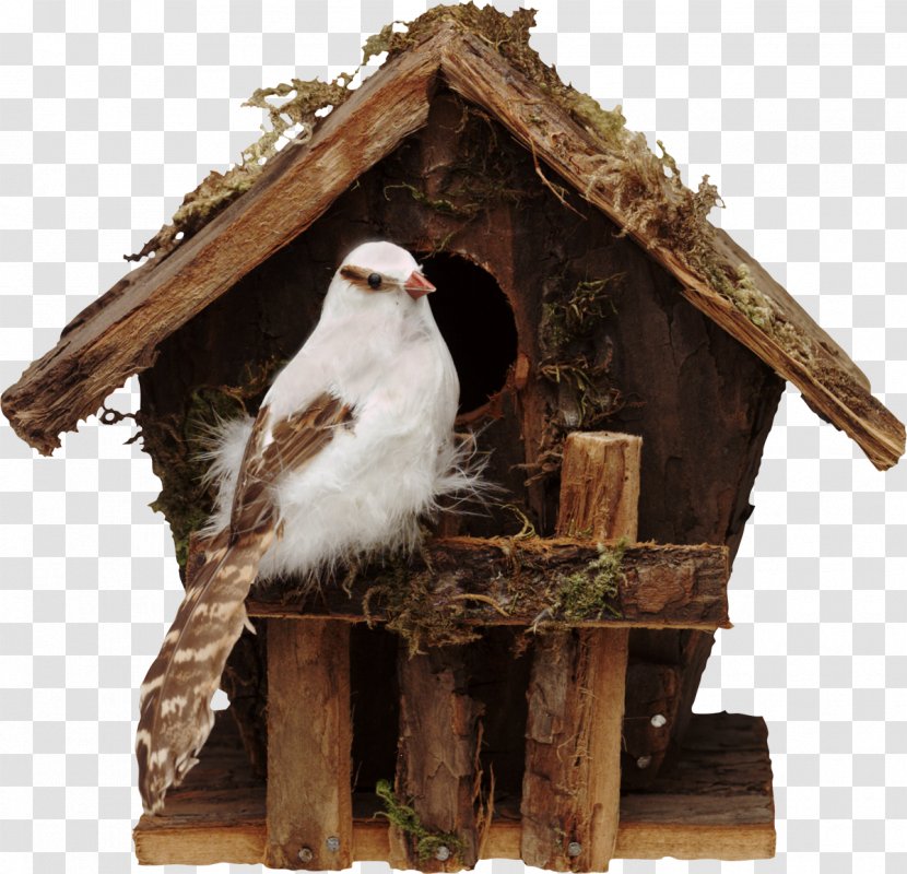 Bird Nest Box Cygnini Dog Houses - Birdhouse Transparent PNG