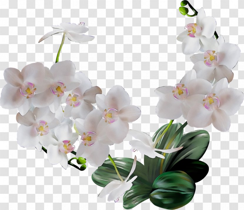 Artificial Flower - Orchid Transparent PNG