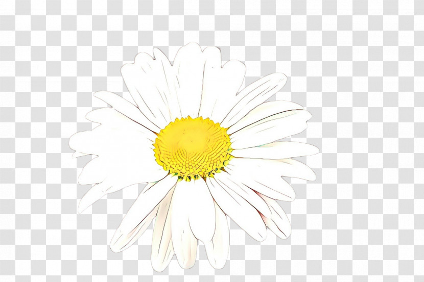 Daisy Transparent PNG