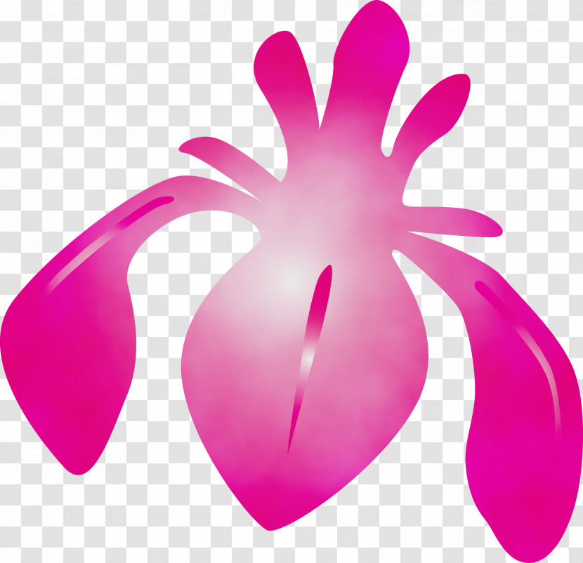 Pink Magenta Petal Violet Purple Transparent PNG