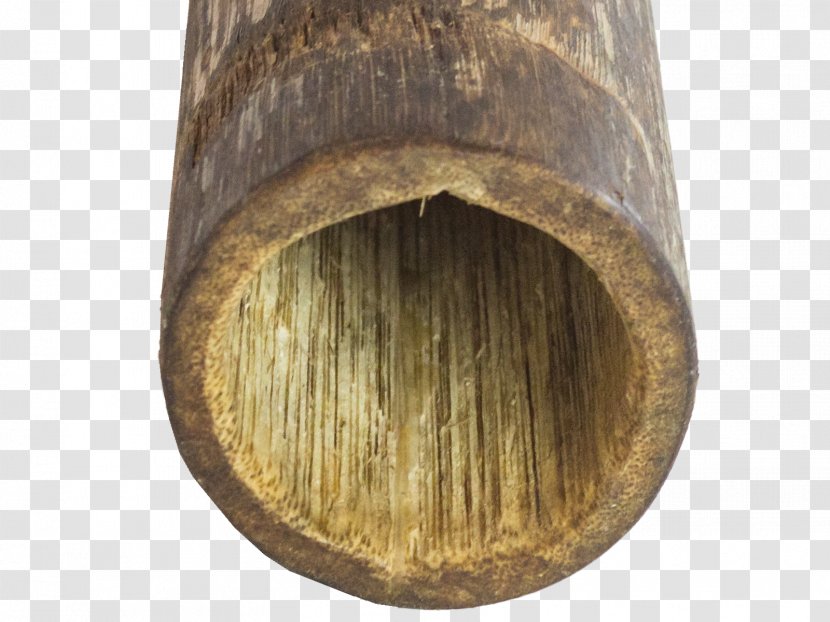 Wood /m/083vt - Natural Views Transparent PNG