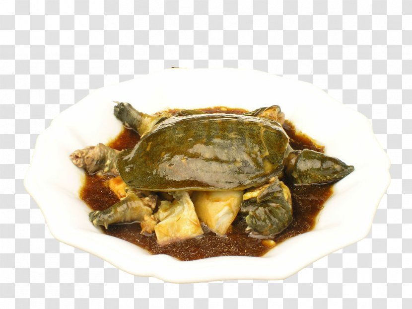 Chinese Softshell Turtle Unadon Food Nutrition - Trionychidae - Braised Picture Material Transparent PNG