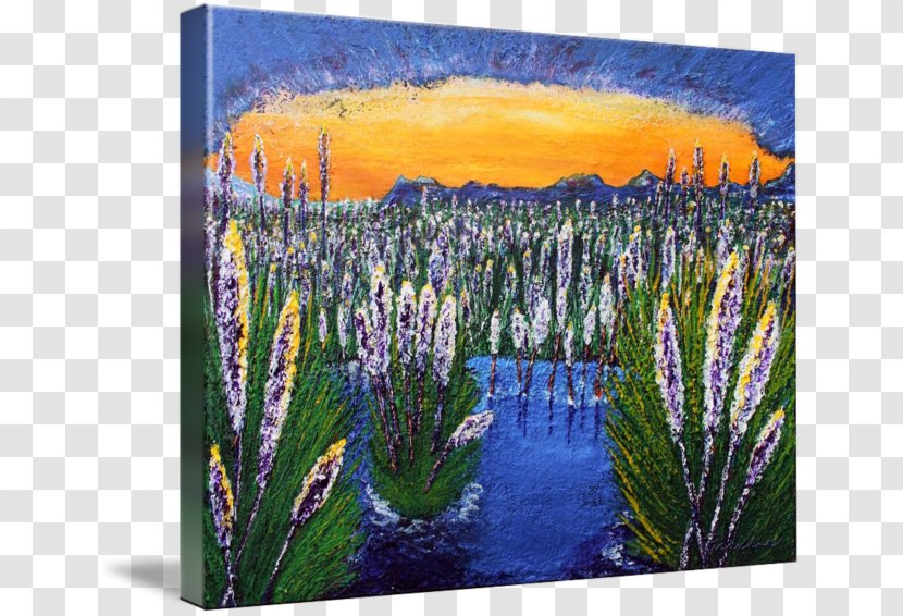 English Lavender Painting Meadow Ecosystem - Family Transparent PNG