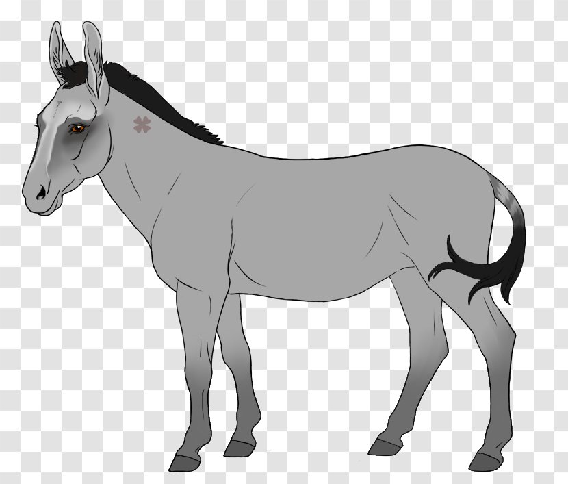 Mule Stallion Mare Mane Donkey - Livestock Transparent PNG