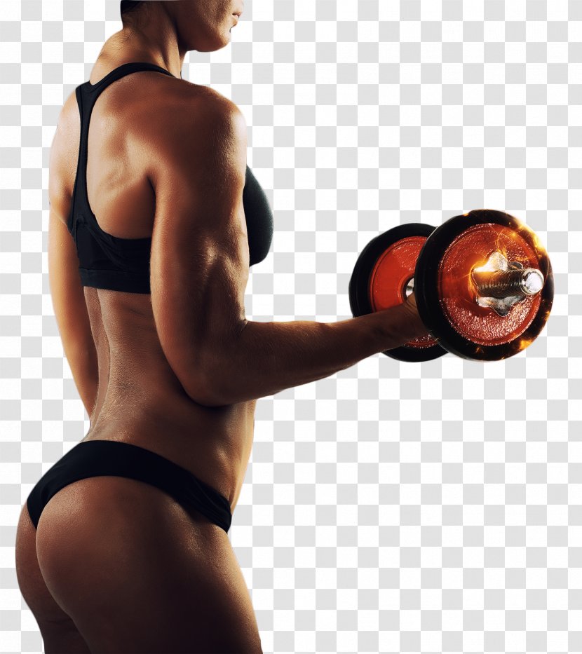 Dumbbell Physical Fitness Exercise Bodybuilding Weight Training - Watercolor Transparent PNG
