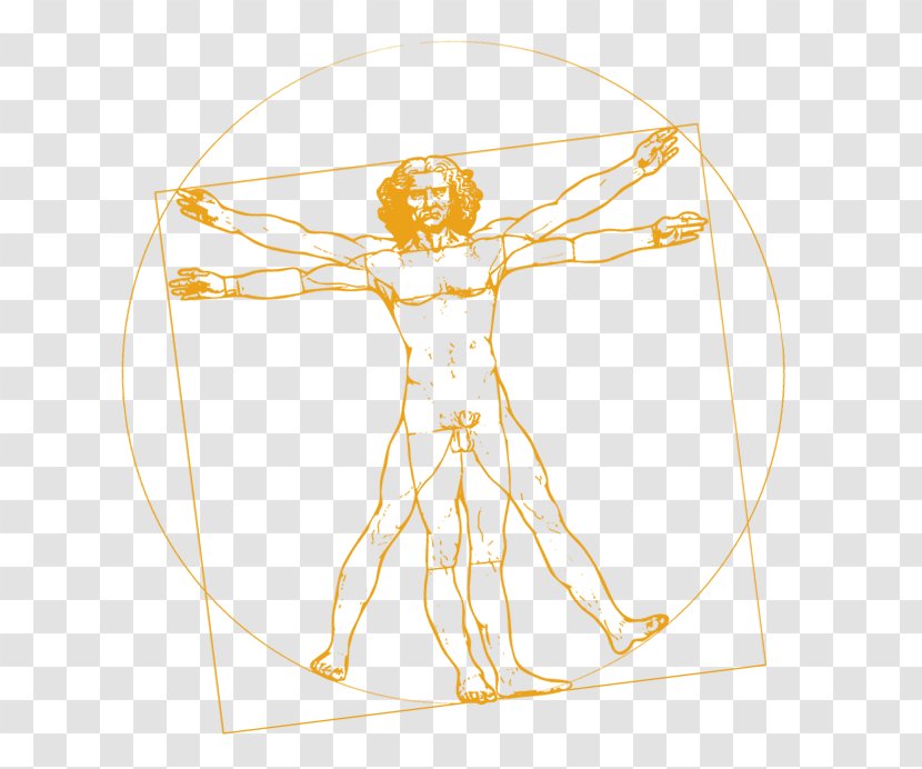 Vitruvian Man The Last Supper Codex On Flight Of Birds Portrait A In Red Chalk Vinci - Painter - Painting Transparent PNG