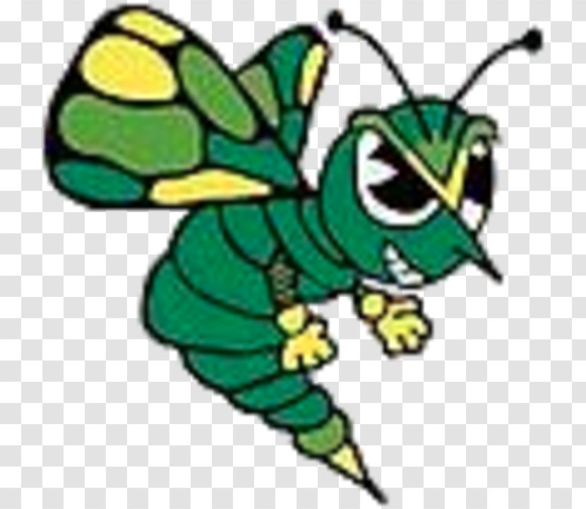 Brown County High School Quincy Jacksonville Jonesboro Taylorville - Fauna - Invertebrate Transparent PNG