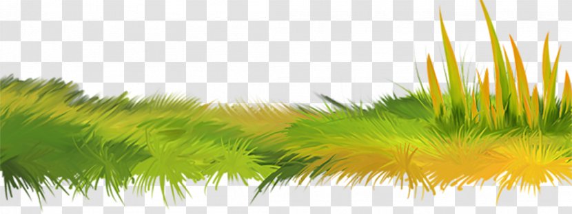 Herbaceous Plant Clip Art - Grass - Green Transparent PNG