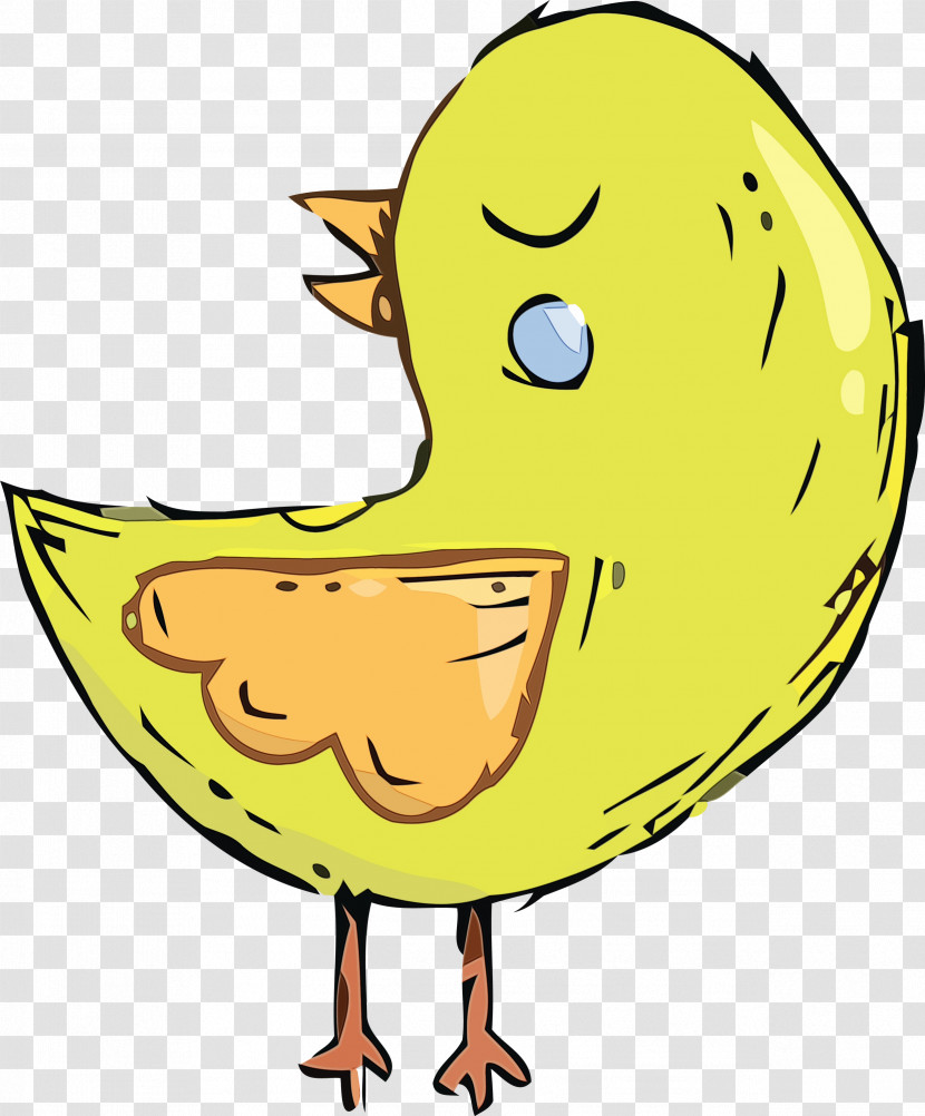 Birds Duck Beak Water Bird Yellow Transparent PNG